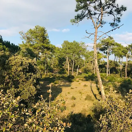 Maison Du Pecheur, Foret Et Ocean Σπίτι διακοπών Notre-Dame-de-Monts